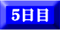 5日目