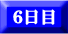 6日目