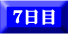 7日目